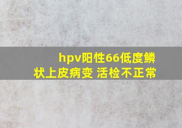 hpv阳性66低度鳞状上皮病变 活检不正常